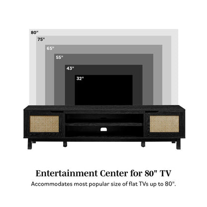 Petoskey 70" 2-Door TV Stand for TVs up to 80"