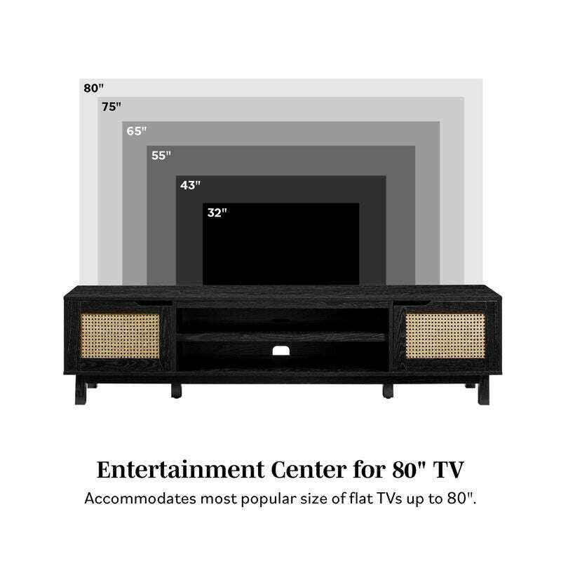 Petoskey 70" 2-Door TV Stand for TVs up to 80"